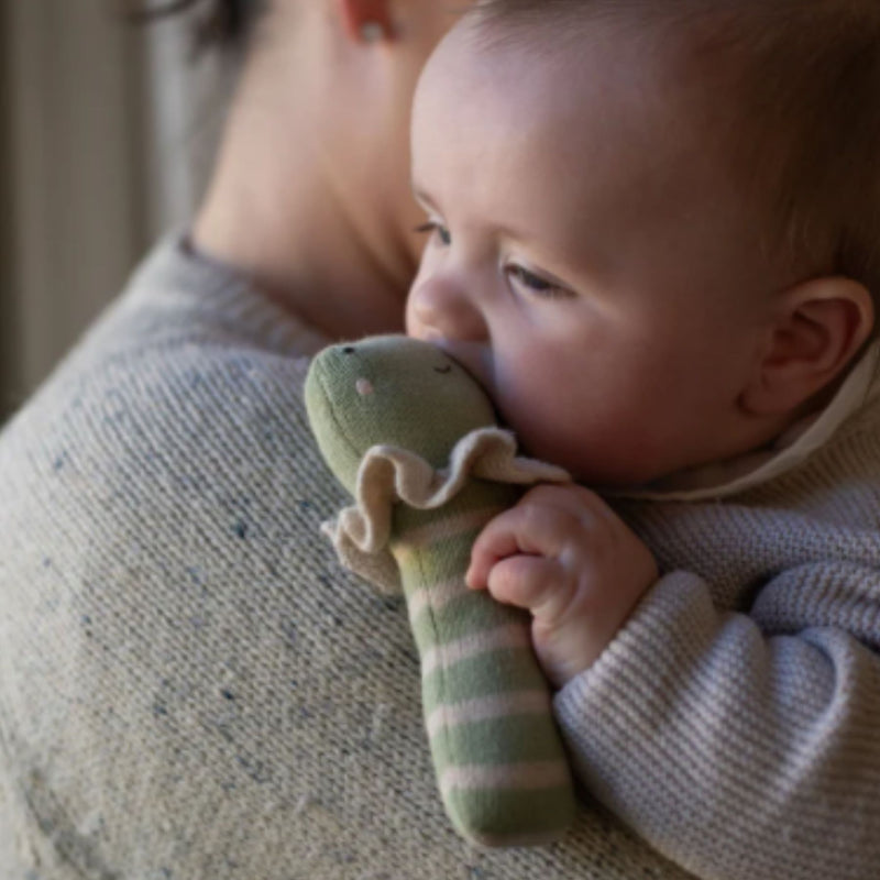 Organic Rattle, Frog