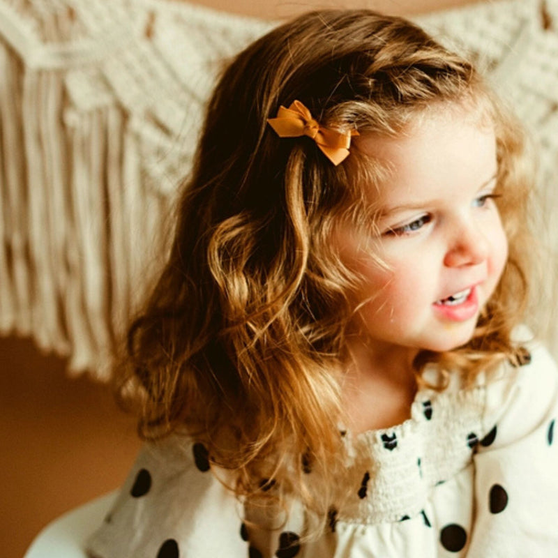 Chelsea Boutique Grosgrain Bows 5 Pack Snap Clips