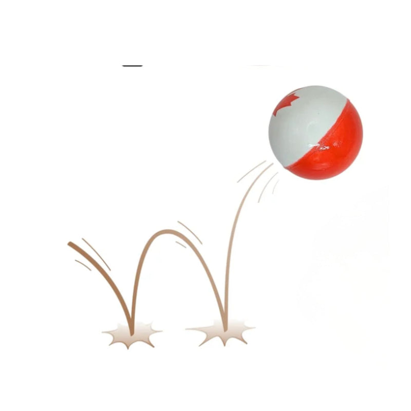 Canada Flag Sponge Rubber Ball