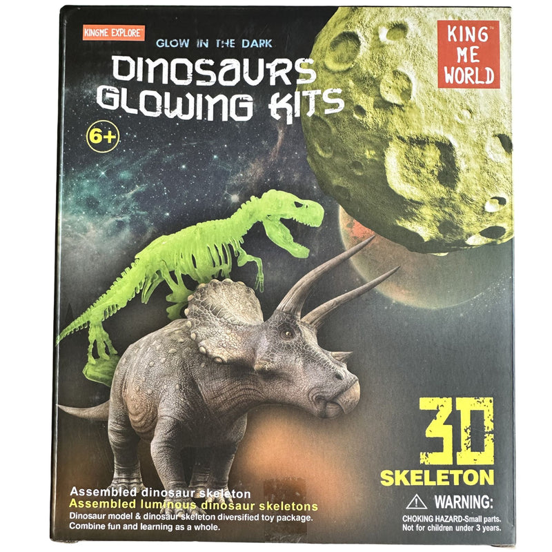Dinosaurs Glowing Kits 3D Skeleton