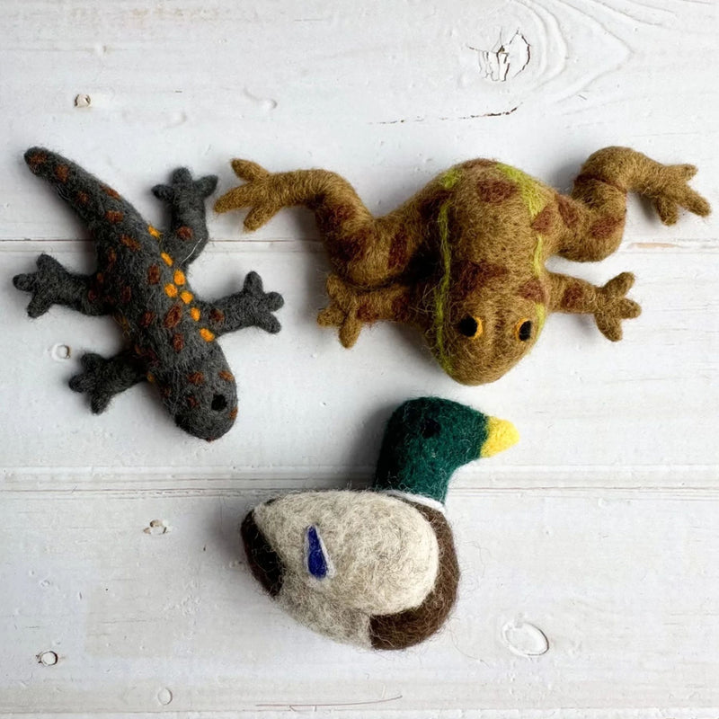 Felt Pond Friends