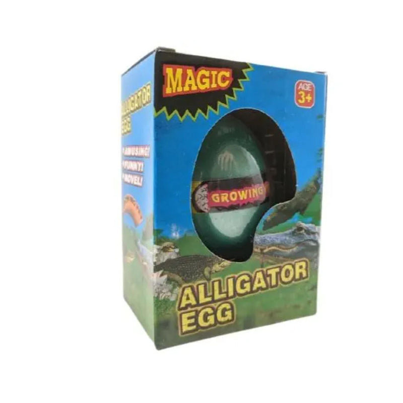 Growing Alligator Egg