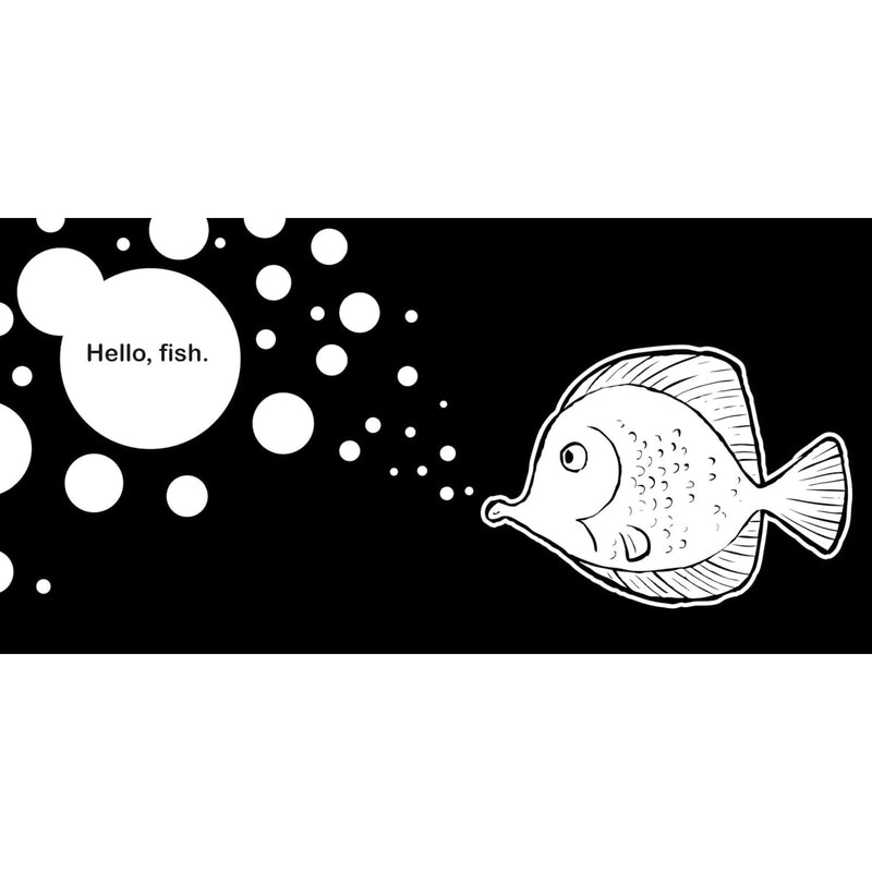 Hello, Ocean Friends