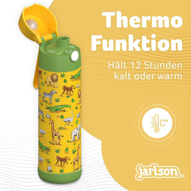 Mali Insulated Stainless Steel Water Bottle, 500ml