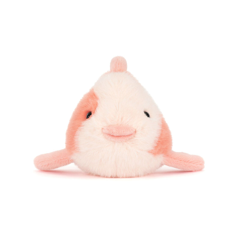 Fancy Carp