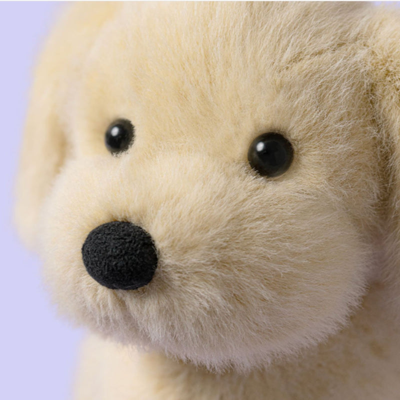 Golden Puppy