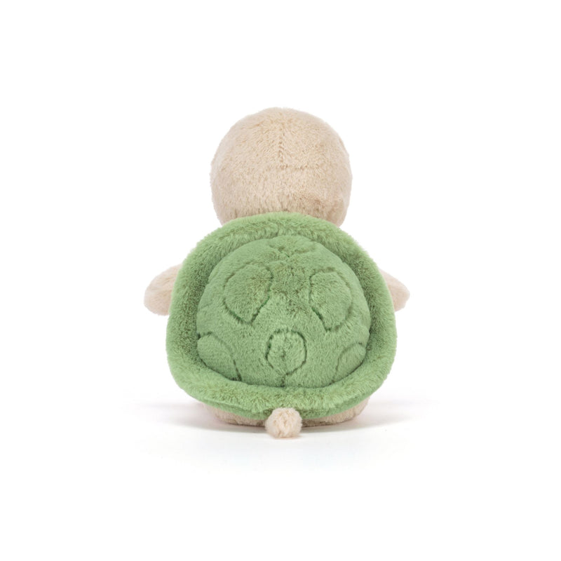 Thimble Turtle