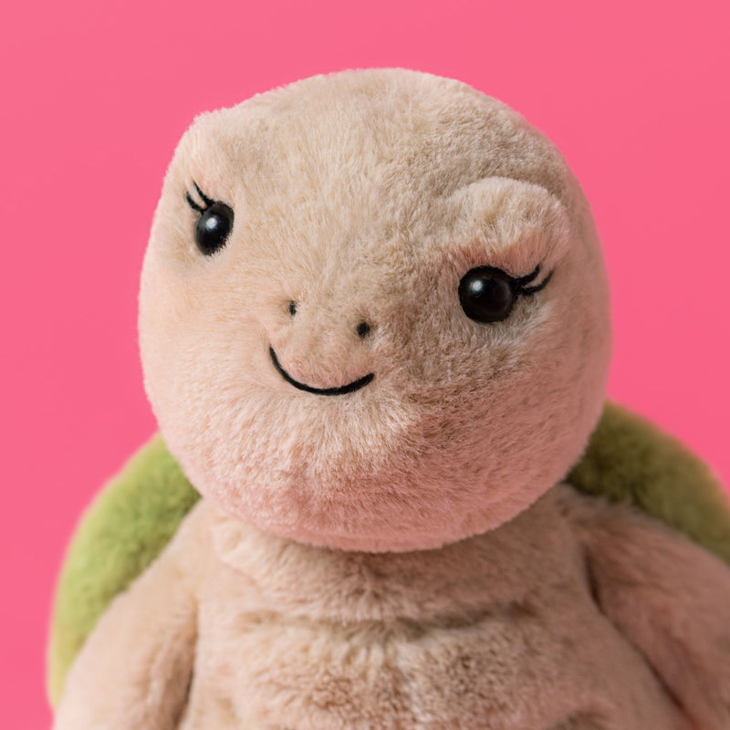 Thimble Turtle