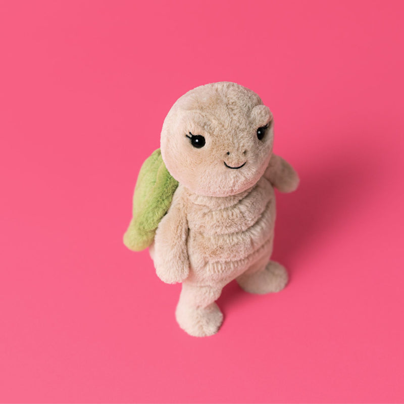 Thimble Turtle