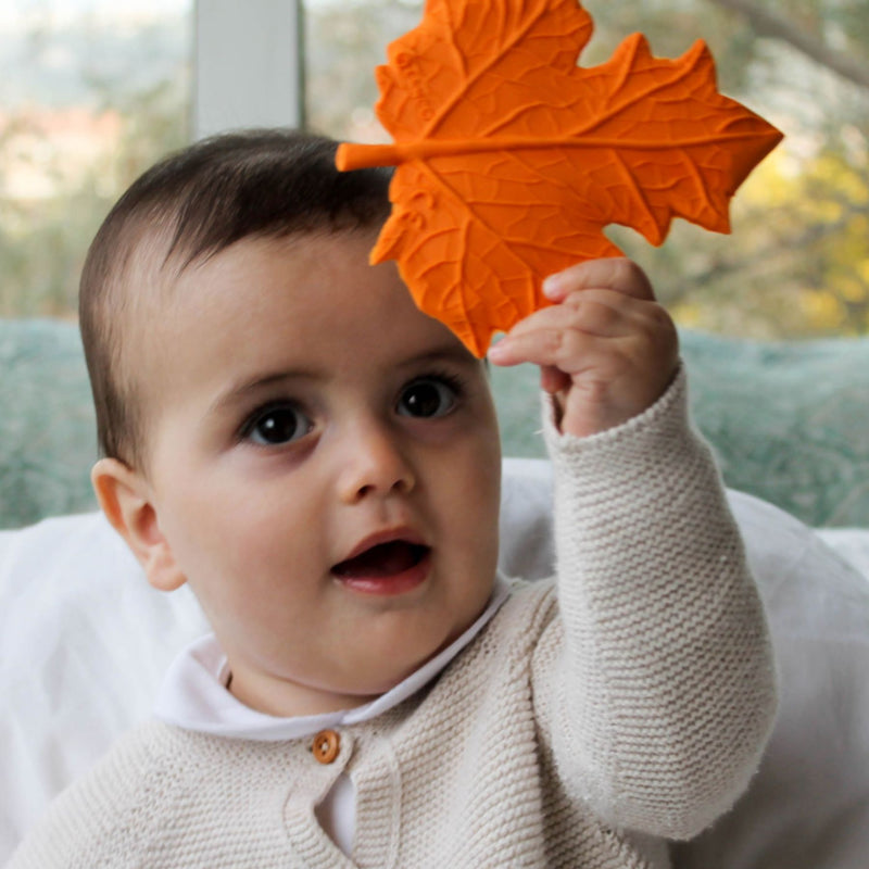 Natural Rubber Teether - Autumn Maple Leaf