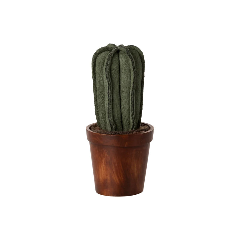 Miniature Flower Pot with Cactus