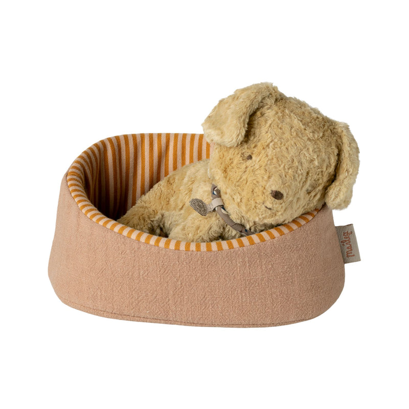 Pet Basket, Powder