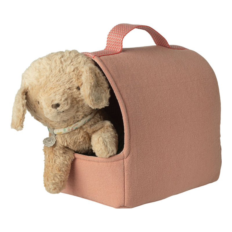 Pet Carrier