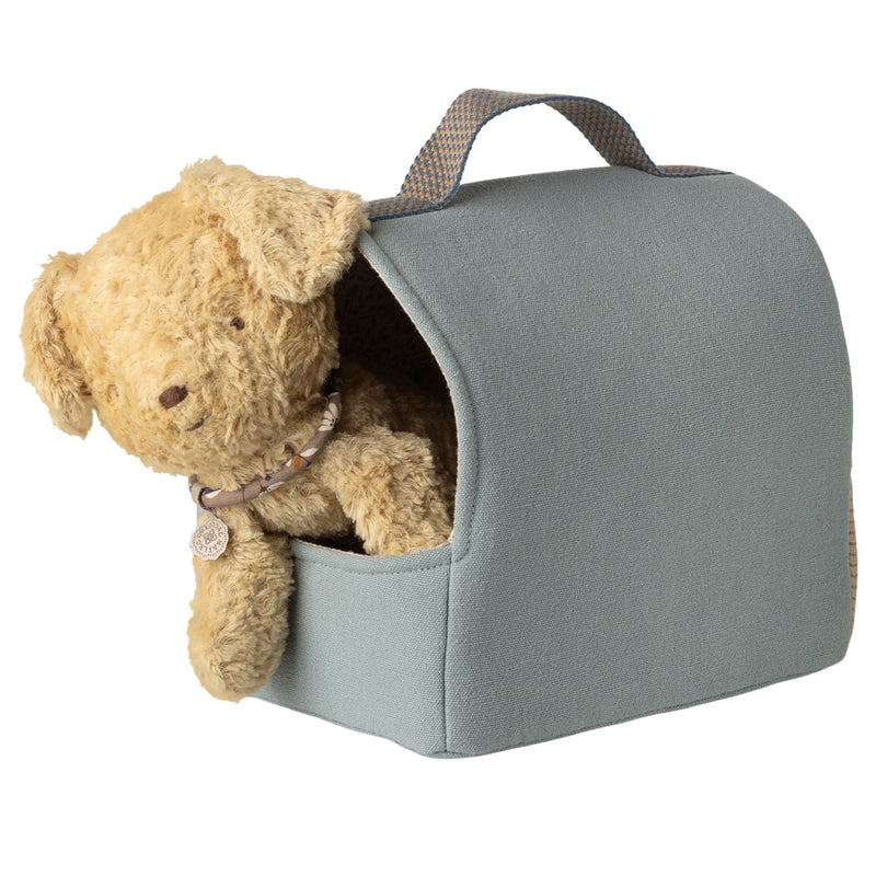 Pet Carrier