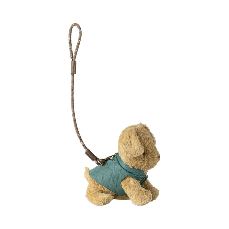 Pet Supply, Harness + Leash