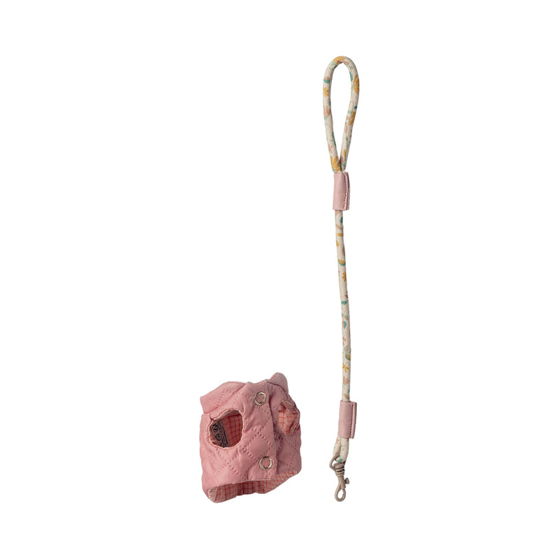 Pet Supply, Harness + Leash