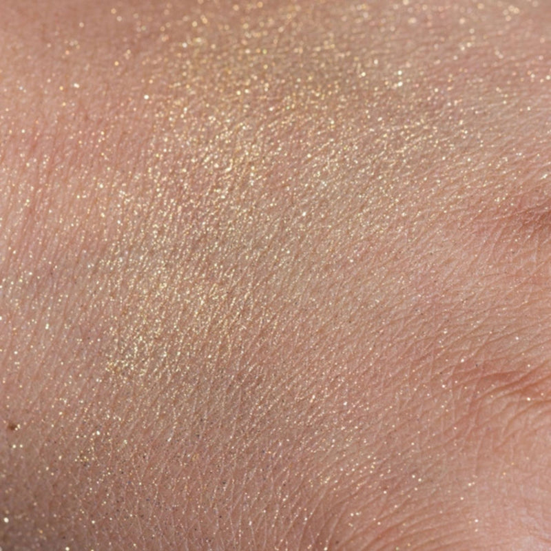 Sparkling Glitter Powder + Brush