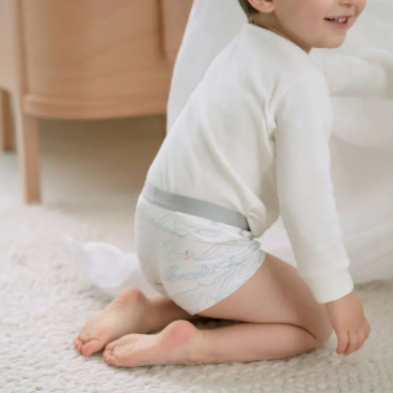 Bamboo Boys Boxer Underwear (2pack)