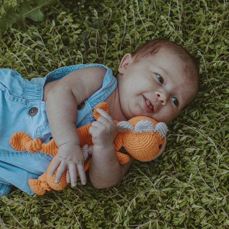 Organic Cotton Crochet Dinosaur Lovery