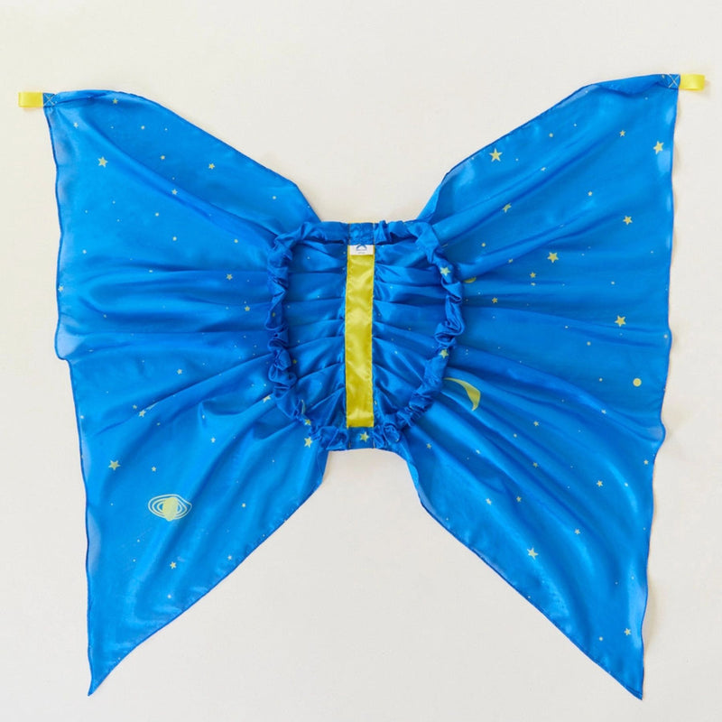 Silk Fairy Wings