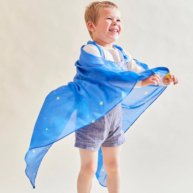 Silk Fairy Wings
