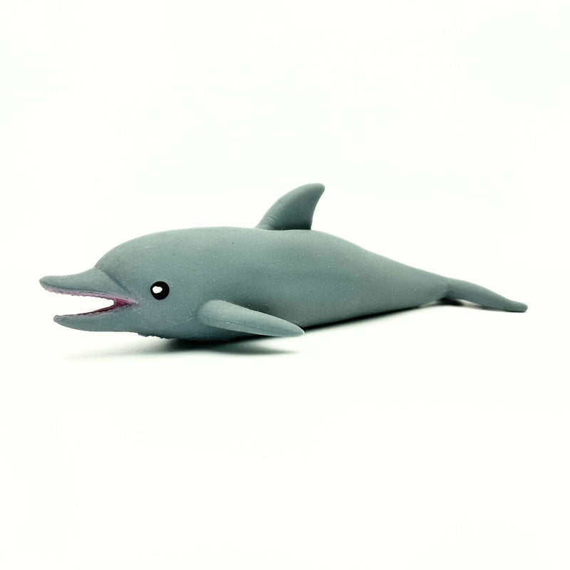 Stretchy Sand Sea Life