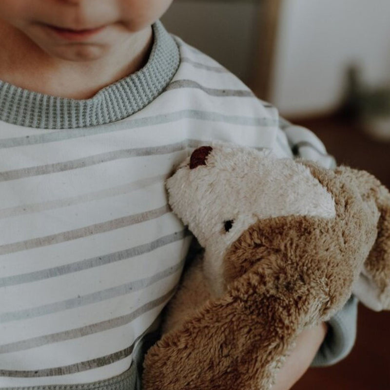 Organic Floppy Animals, Small Dog