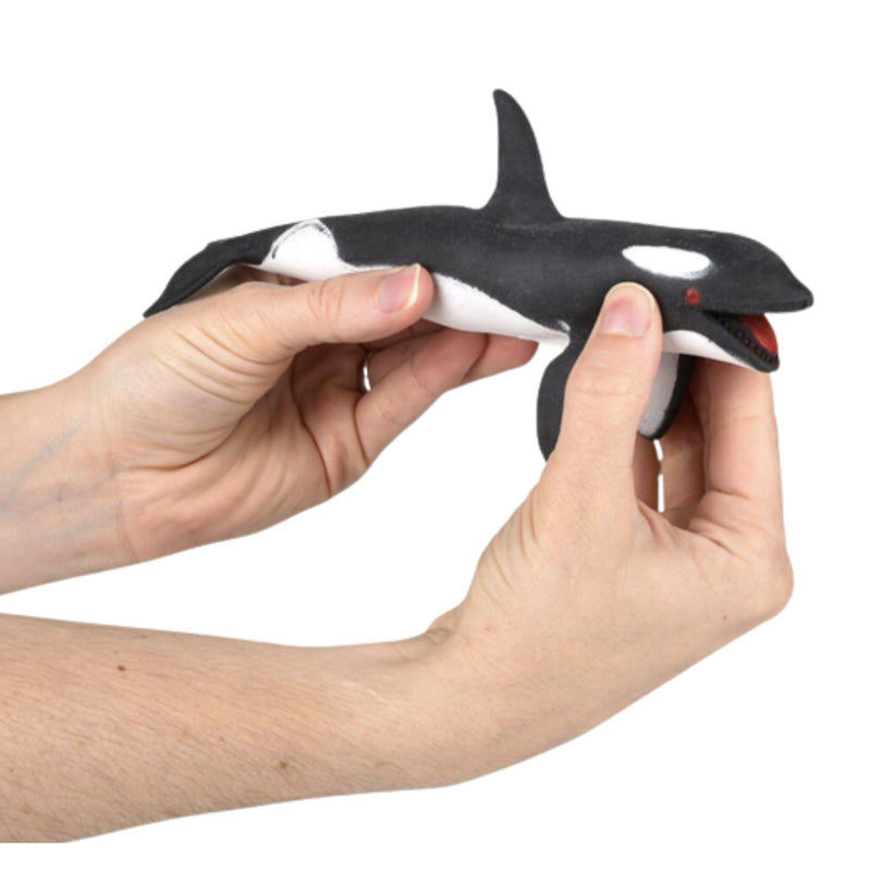 Stretchy Sand Sea Life