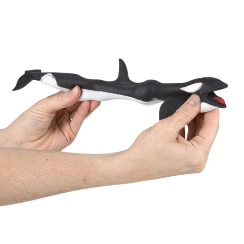 Stretchy Sand Sea Life